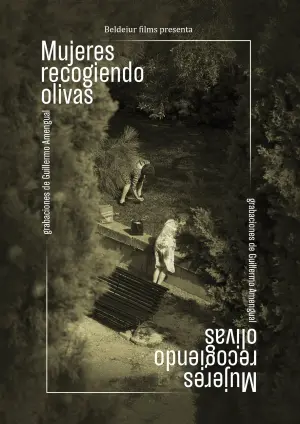 Постер к фильму "Women picking up olives"