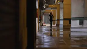 Задник к фильму "Досье «Чёрная канарейка»" #623155