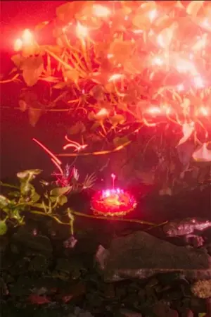 Постер к фильму "" #197619