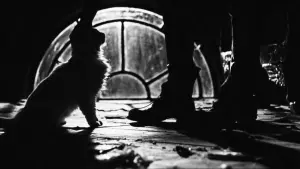 Задник к фильму "Ворон" #503412