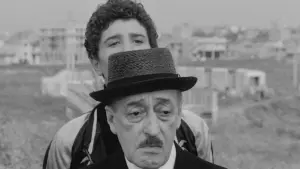 Задник к фильму "Птицы большие и малые" #228665