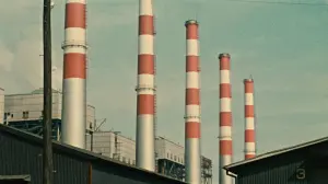 Задник к фильму "Вкус сайры" #354082