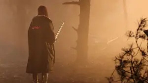 Задник к фильму "Рыжая Соня" #528552