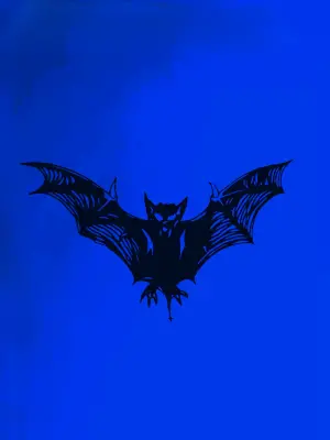 Постер к фильму "Мрачные тени" #306205