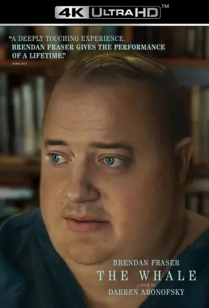 Постер к фильму "Кит" #23758