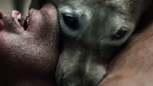 Задник к фильму "Азбука смерти" #406206