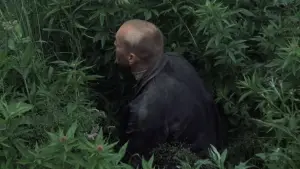 Задник к фильму "Сталкер" #734101