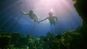 Задник к фильму "Принц из Рая (Принц в Раю)" #387460