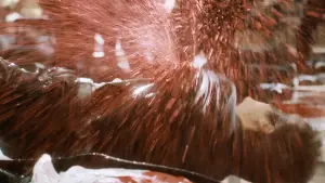 Задник к фильму "Убить Билла: Кровавое дело целиком" #524377