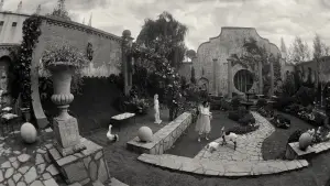 Задник к фильму "Бедные-несчастные" #584093