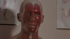 Задник к фильму "Пин..." #501141