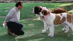 Задник к фильму "Бетховен 2" #330549