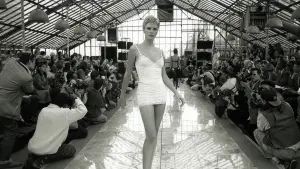 Задник к фильму "Знаменитость" #310012