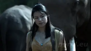 Задник к фильму "Трудная мишень 2" #326015