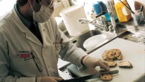 Задник к фильму "Что ни день, то неприятности" #390434