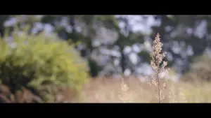 Задник к фильму "" #473111