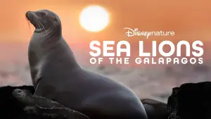 Задник к фильму "Sea Lions of the Galapagos" #719359