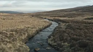 Задник к фильму "" #457388