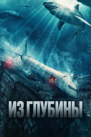 Постер к фильму "Из глубины" #401188