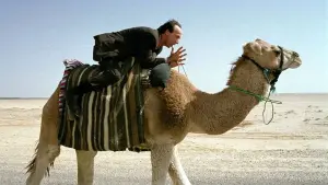 Задник к фильму "Тигр и снег" #264181