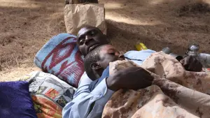 Задник к фильму "Легенды саванны" #439457