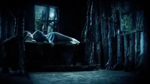 Задник к фильму "Мать мух" #551131