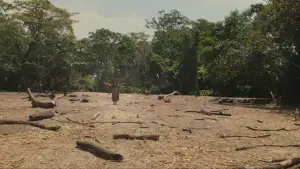 Задник к фильму "Апокалипсис" #579780