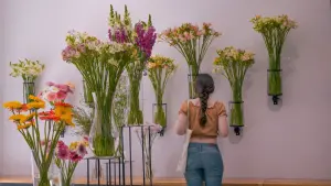 Задник к фильму "" #352902