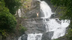 Задник к фильму "Джунгли. Райский переполох" #387674