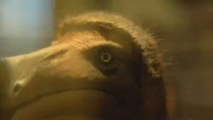 Задник к фильму "Little, Big, and Far" #799681