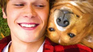 Задник к фильму "Собачья жизнь" #204534