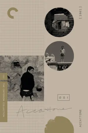 Постер к фильму "Аккатоне" #189014