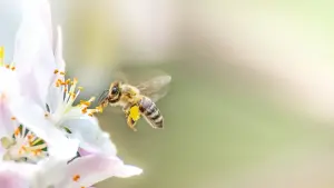 Задник к фильму "" #474238