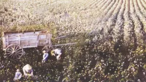 Задник к фильму "Место в сердце" #402267