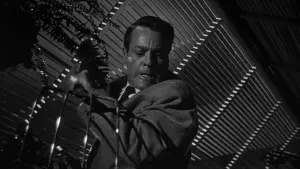 Задник к фильму "Вторжение похитителей тел" #213547