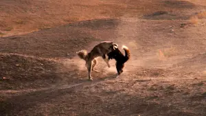 Задник к фильму "Изгоняющий дьявола" #576821