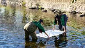 Задник к фильму "" #718996