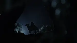 Задник к фильму "Властелин колец: Братство кольца" #515452