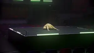 Задник к фильму "" #681891