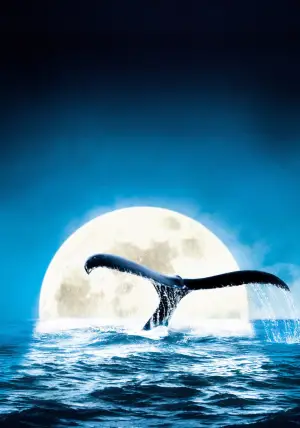 Постер к фильму "Голубая бездна" #724860