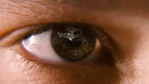 Задник к фильму "Мост в Терабитию" #611563