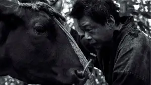 Задник к фильму "" #543242