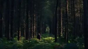 Задник к фильму "" #522102