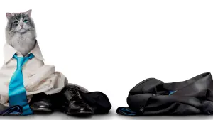 Задник к фильму "Девять жизней" #390570