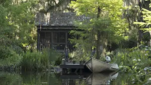 Задник к фильму "Там, где раки поют" #207422