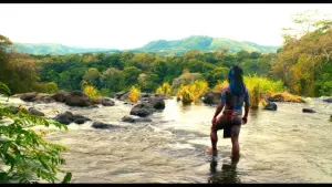 Задник к фильму "Апокалипсис" #443932