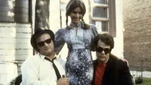 Задник к фильму "Братья Блюз" #658038