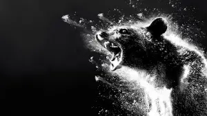 Задник к фильму "Кокаиновый медведь" #718953