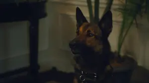 Задник к фильму "Макс 2: Герой Белого Дома" #345883