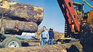 Задник к фильму "Иногда великая идея..." #436288